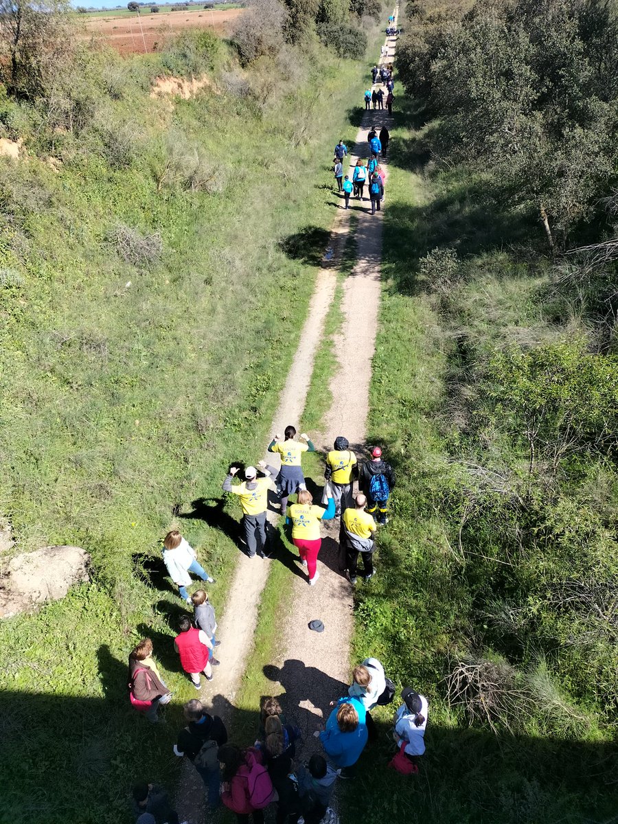 Cesarjimenoo's tweet photo. El #VoluntariadoCaixaBank de #CastillaLaMancha vuelve a celebrar la Vía Verde de la inclusión, con más ganas que nunca.Maravilloso día de paseo y fiesta.Graciss a @ApanasToledo, Aurelio de León,Cruz Roja Talavera,@GCecap,#AFANNES y @Apandapt. https://t.co/RsWIaWJbzh