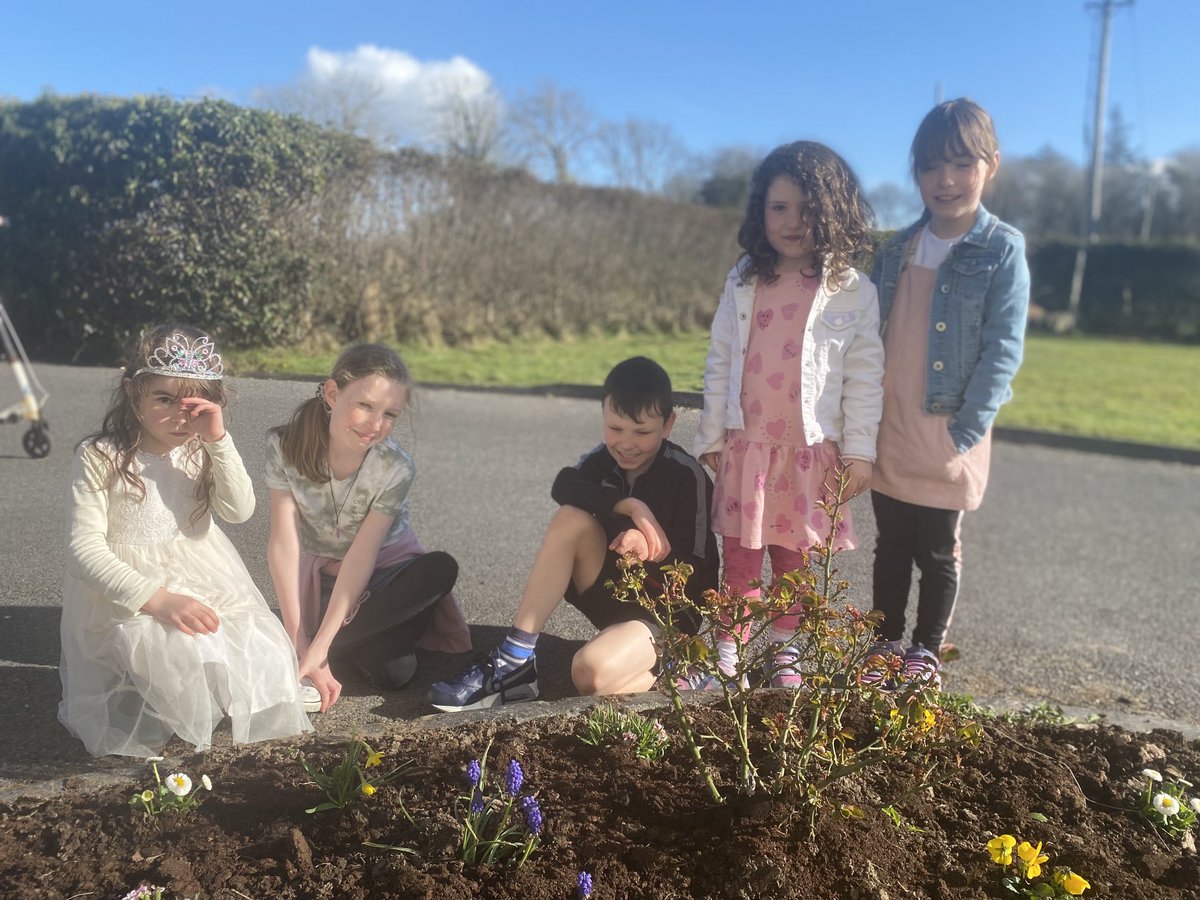 AngelaCanny's tweet photo. A lovely day in Mayo 💚❤️ to investigate if our work last Autumn yielded positive results #bulbsforbees Thank you @GaisceAward https://t.co/Zf2hN8soea