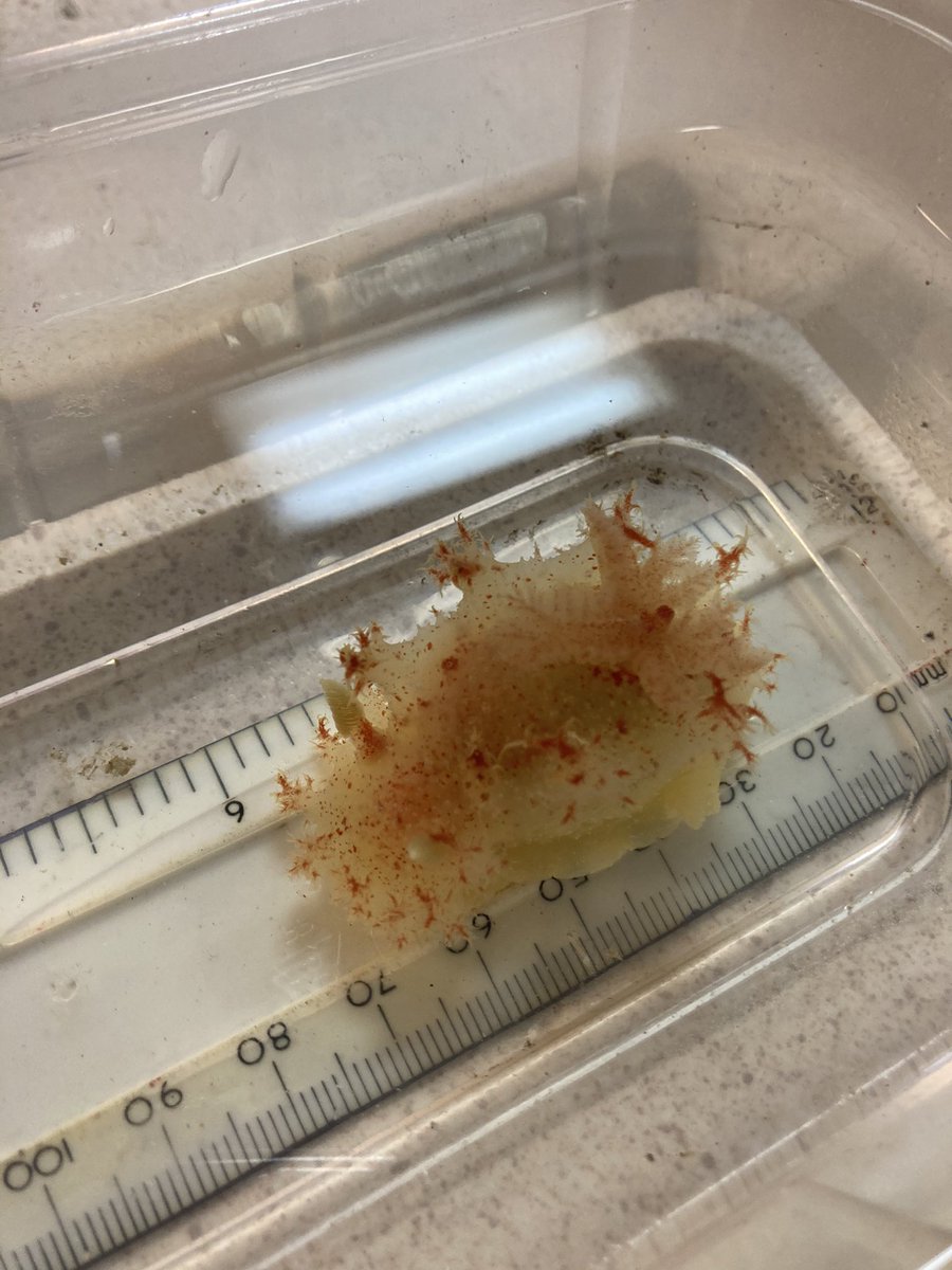 Hayden Close tweet media