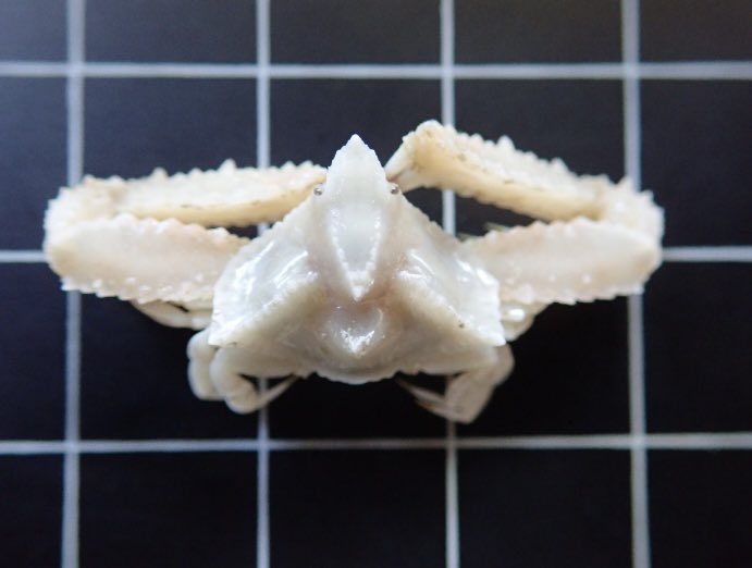 Hayden Close tweet media