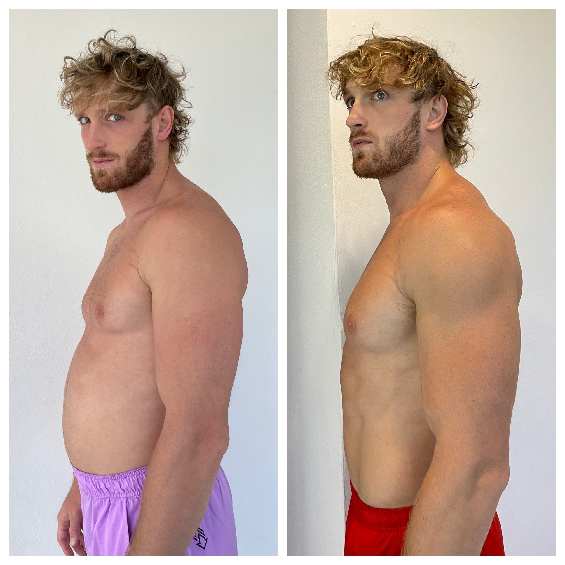 100 pushups 2024 a day result
