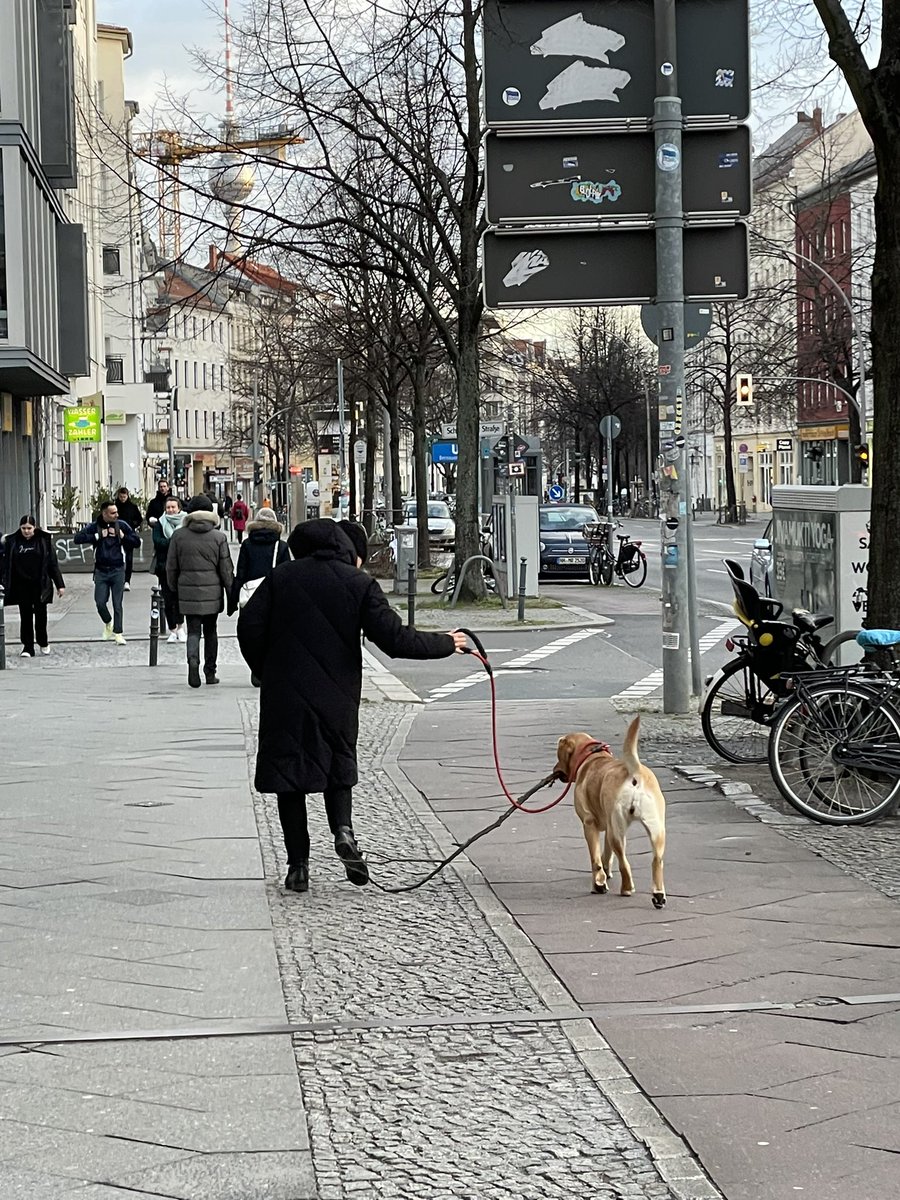 schmuziger's tweet photo. @toriboeck I’ll stop before the owners find me and decide to enact a restricting order against me (also, I normally do short videos so add to that 5 more just in March) https://t.co/zq8UVfcAez
