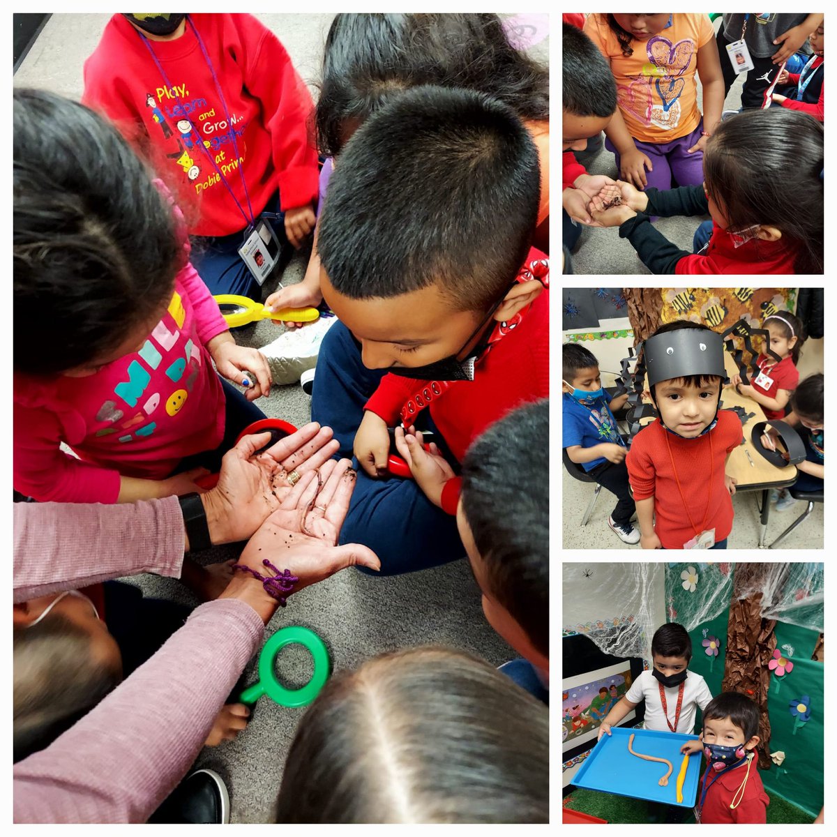 ....and just like that, our Bugs theme has concluded.  This week, we learned all about arachnids and earth worms.  Ss made "spider" hats and got up and personal with live worms.  The excitement was through the roof!!  <a href="/DobiePKSchool/">Dobie Pre-Kindergarten School⭐️</a> #RISDprek #RISDpoweroflove