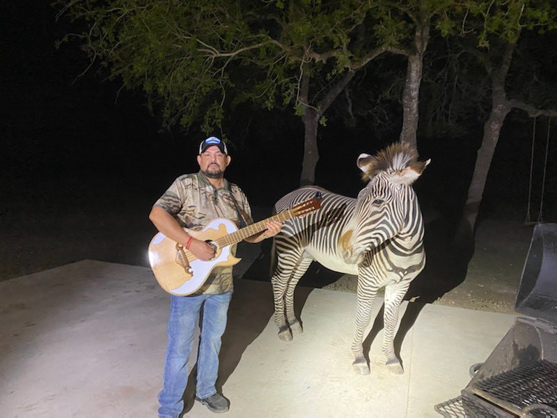 freddierecords's tweet photo. Nuestro artista, Fundador y Colider de Maduro, RENE RAMIREZ, tocándole la serenata a la zebra 🦓. Un gran aplauso jajaja! No se les olvide de seguir a @rene_y_maduro en @Spotify. Más caliente 🥵 que nunca. 
#ReneRamirez #ReneRamirezYMaduro #Serenata #MusicaRegional https://t.co/HmcdoOJoAK