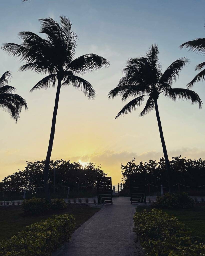 Good Morning! instagr.am/p/Cb2wKz4Oufp/