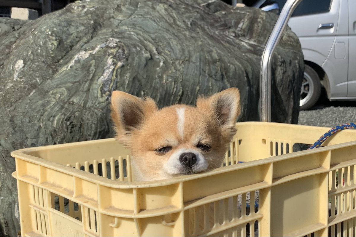 ทำไร หวะ