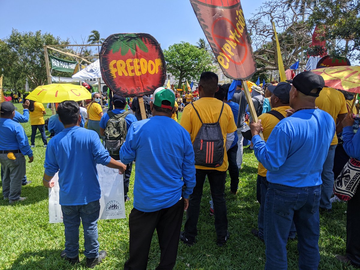 We're marching today in Palm Beach with <a href="/ciw/">Coalition of Immokalee Workers</a> to demand dignity and justice for all farmworkers! Our message to <a href="/Wendys/">Wendy’s</a> and Board Chair Nelson Peltz: join the <a href="/FairFoodProgram/">Fair Food Program</a> now! #BoycottWendys 🍅