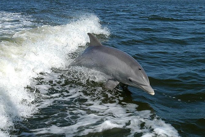noordanary's tweet photo. 10 Fun things to do in Tampa/ Clearwater Florida
https://t.co/mWIT6Fv18O

#Florida #Tours #familyfun #vacation #suggestions #trip #thingstodo #Tips #MustSeeMoment #fishing #gulfofmexico #Tampa #clearwater #SummerVibes #traveling #traveldestination #getaways #roadTrip #ghosttour https://t.co/fL2yZTiQj1
