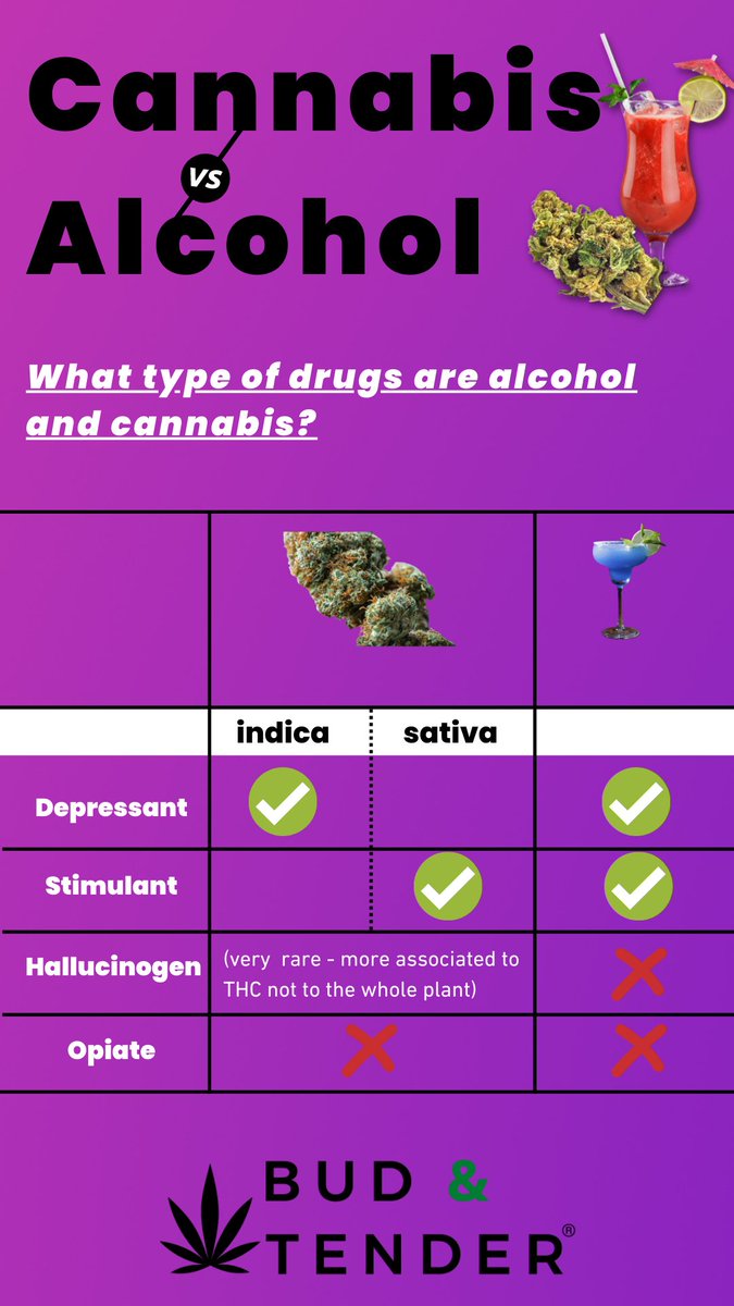 🍁🍸CANNABIS VS ALCOHOL🍁🍸

What type of drugs are alcohol and cannabis?

💚Bud & Tender: 'Caring with Cannabis, from plant to palate...'💚

#FeelGreatAgain
#Cannabis
#Alcohol
#CannabisVsAlcohol
#Sativa
#Indica
#CBD
#CBDOil