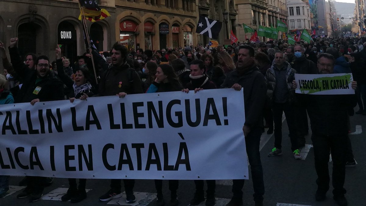 IAC CATAC tweet media