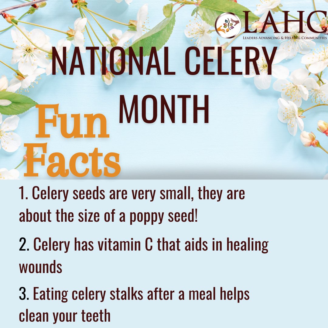 LAHC4's tweet photo. It is Fresh Celery Month. Enjoy these interesting facts then swipe for a delicious recipe! #Celery #FunFacts #HealthySnack #VitaminC #Fiber #CeleryMonth https://t.co/uGUCKiK8ZE