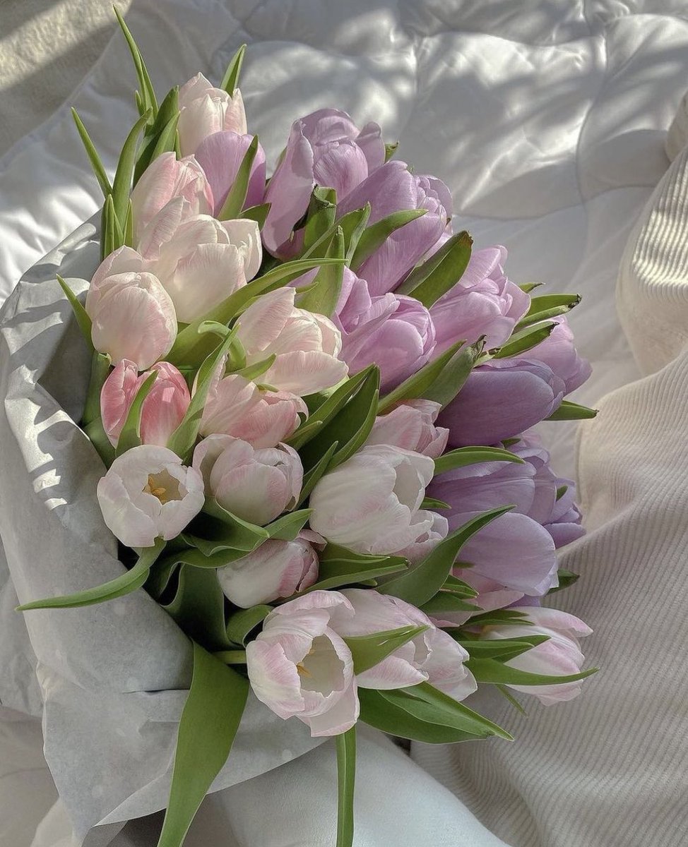 maybeeevirgo's tweet image. 