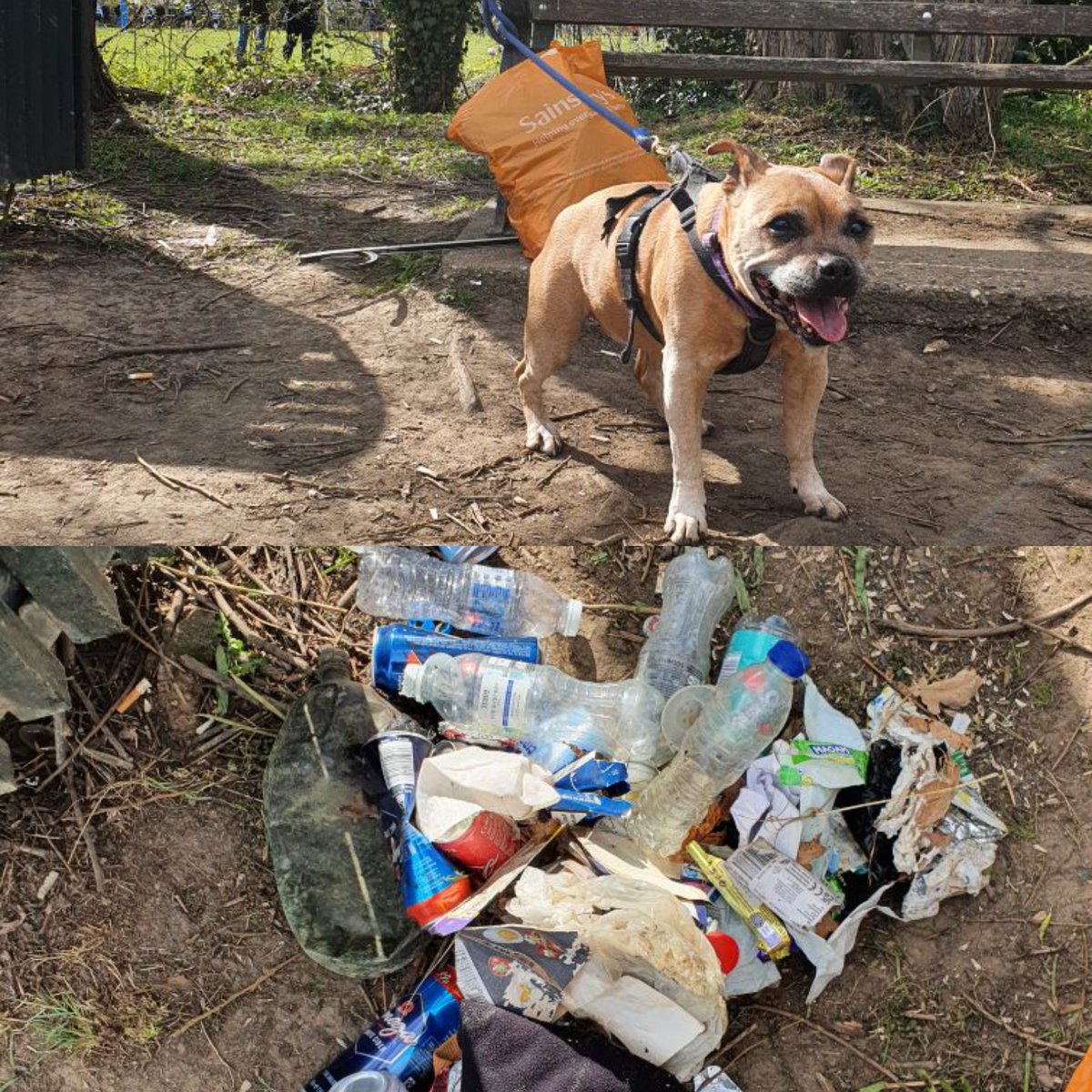 Bin There (@litterstuff) on Twitter photo Getting an early start with our entries for this weeks <a href="/LitterLotto/">LitterLotto</a> #binittowinit #litter #Heybridge #Essex Getting an early start with our entries for this weeks <a href="/LitterLotto/">LitterLotto</a> #binittowinit #litter #Heybridge #Essex