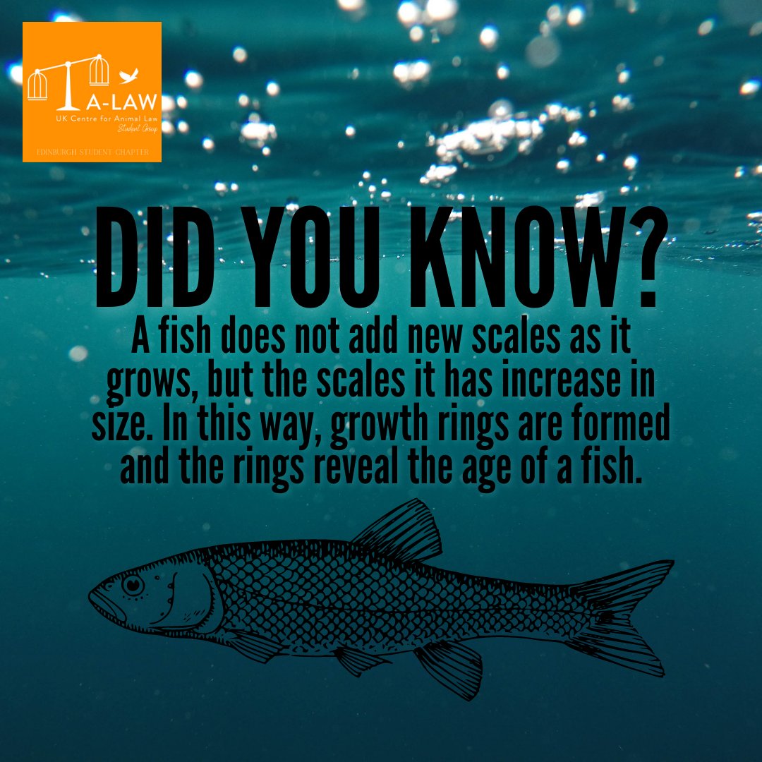 Find out more about these fascinating creatures and their neighbours, crustaceans, at our event on the 13th April at 7pm BST! 

Tickets are free and available from the link below:

eventbrite.com/e/a-deep-dive-…