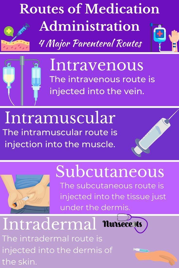 Dareen_Ali20's tweet photo. Routes of Administration 💜
حطوها بالمفضله parenteral and non-parenteral medication 💜 https://t.co/q61pyLoIbz