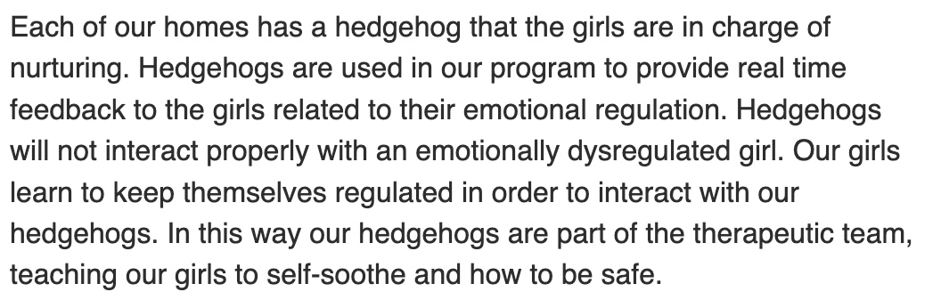 SenSaraGelser's tweet photo. Your Troubled Teen Industry moment for today: Hedgehogs. Seriously. Hedgehogs. Cute? Sure. Evidence based? Um. No. This, of course, is also the place where they punished girls by putting them in dirty horse trough water while ziptied. #endtti #unsilenced #sentaway #orpol https://t.co/QK8eIRIiNG