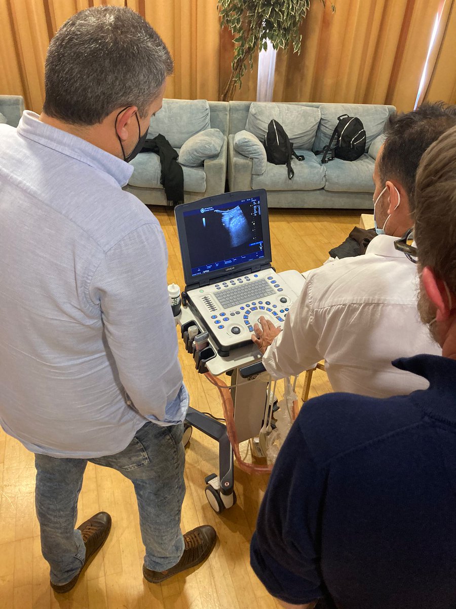 SIEC_ecografia's tweet photo. Os compartimos más imágenes del sábado, curso de iniciación en ecografía de urgencias realizado en Vila-real, impartido por los Dres. @AlgadoJose  y @AGarcia_Moreno con el patrocinio de @DaiichiSankyoES y con la colaboración de GE Levante | #ecografiaclinica #formacioncontinuada https://t.co/IV9kqcRAEP