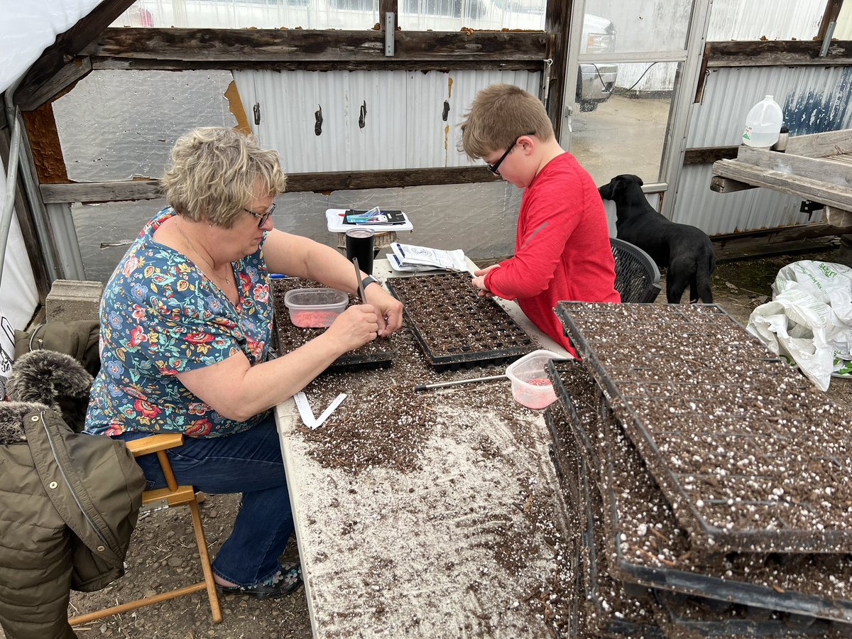 michael_kelly00's tweet photo. Melon planting has started! 🍉#mitchellmelons https://t.co/IMwCtg6x16