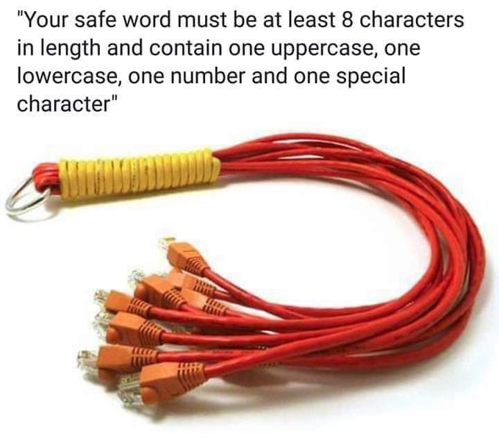 weems's tweet photo. Secure Passwords are my kink. #infosec https://t.co/WC1hKrUlCU