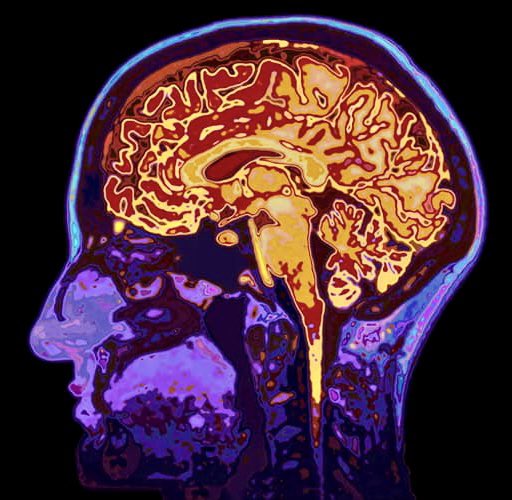 Limitlessknowl's tweet photo. 9 Hobbies That Make You Smarter ( According To Science )

~ THREAD ~ https://t.co/6jOGj9g1VJ