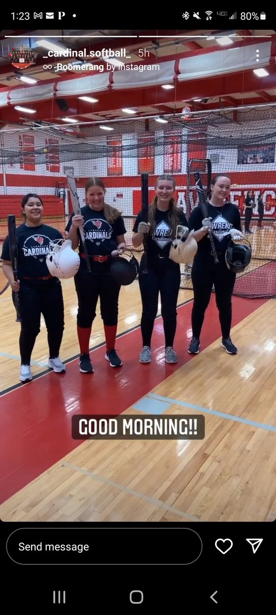 Cardinal_Softball tweet media