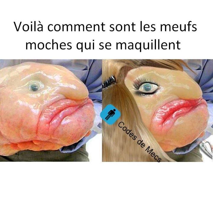 droledebuzz's tweet image. PTDR