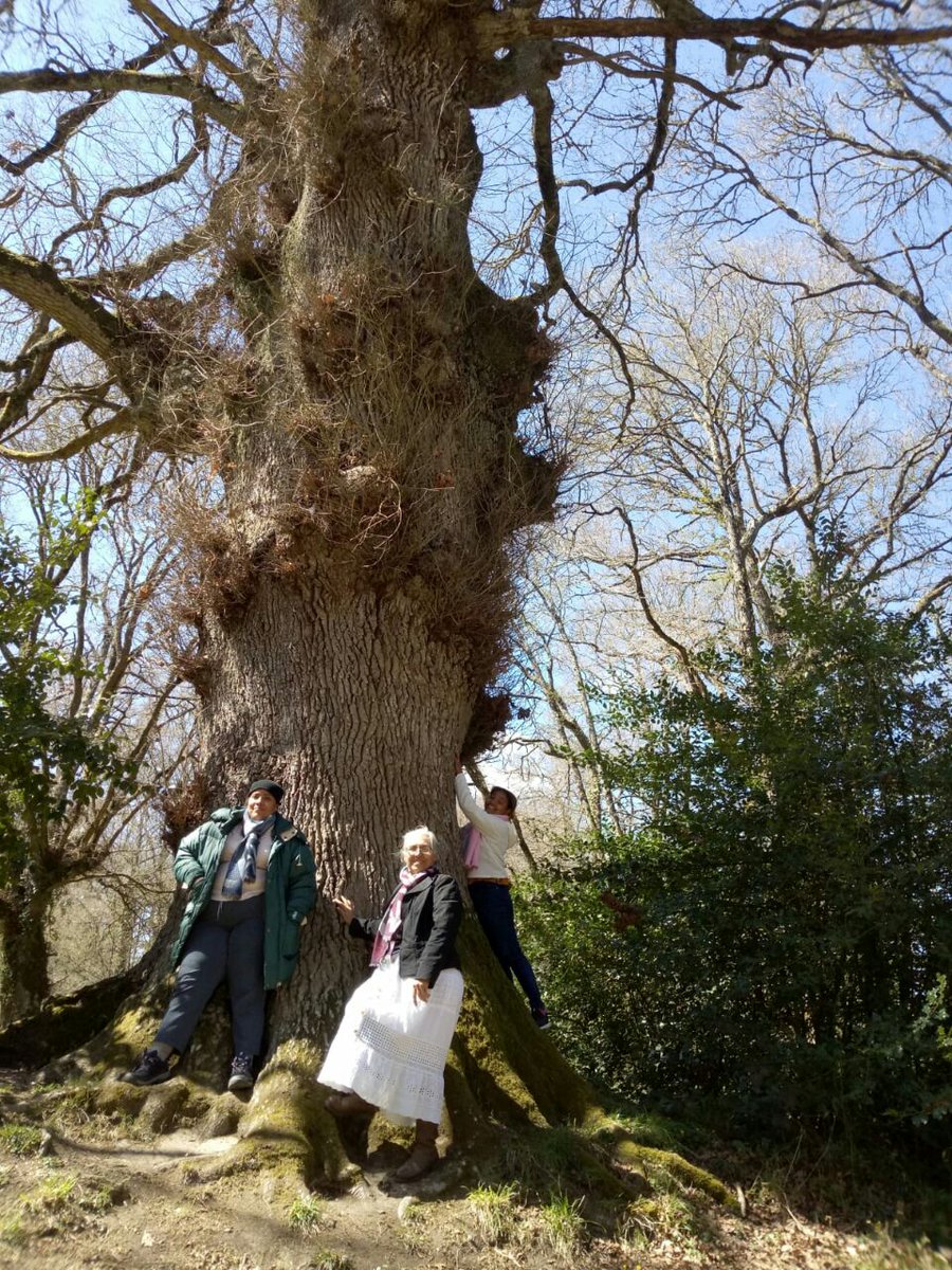 ESFGALICIA's tweet photo. Hoxe pola mañá as #MulleresBravas defensoras da terra de #Honduras que nos visitan en Galicia, coñeceron o Movemento Ecoloxista da Limia e iniciativas de produción local en Ourense como Labregos Daiquí https://t.co/6AYgmvsd6P 
Máis sobre a súa axenda: https://t.co/0Gb6FiD6z1 https://t.co/kyPEkWkgXK