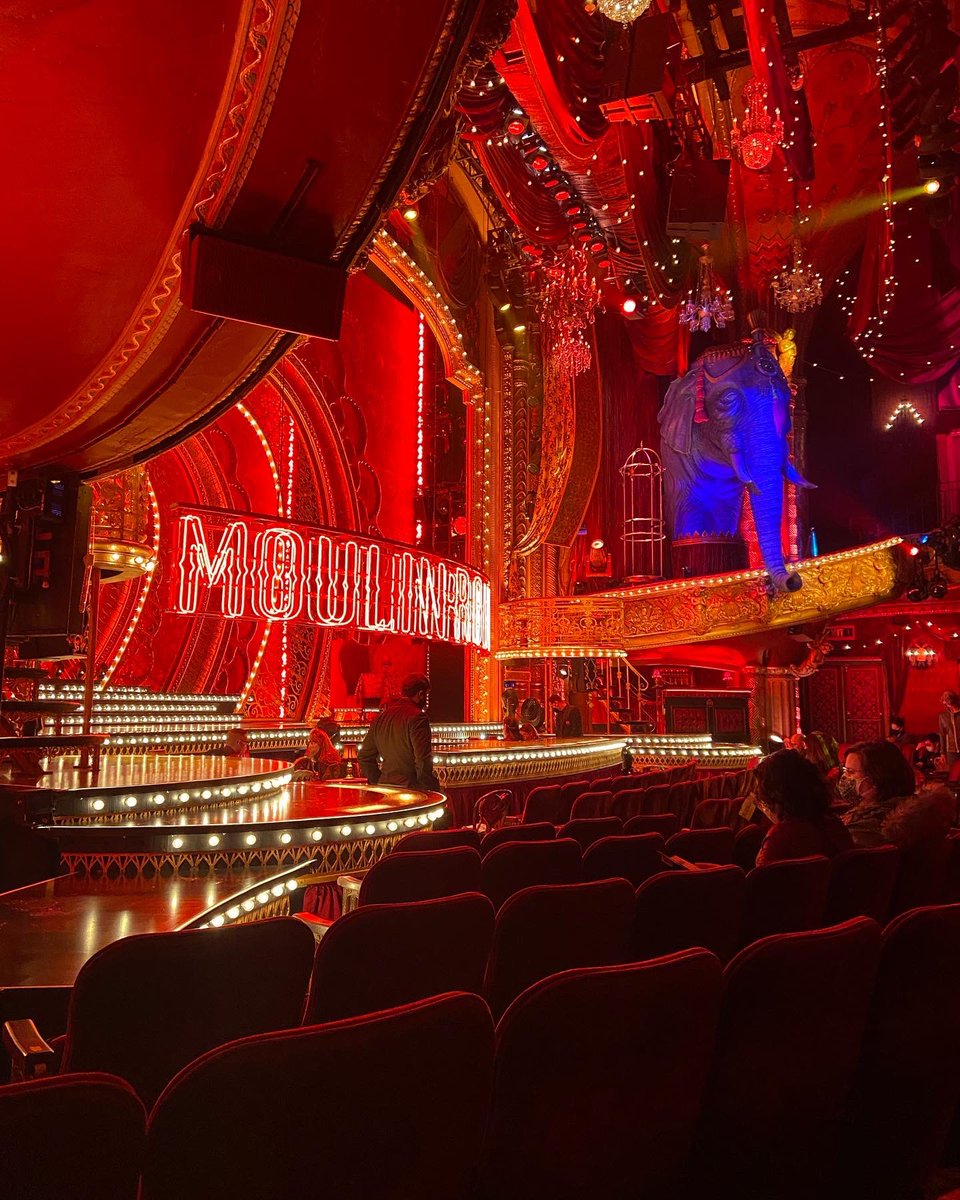 Marianne Savona tweet media