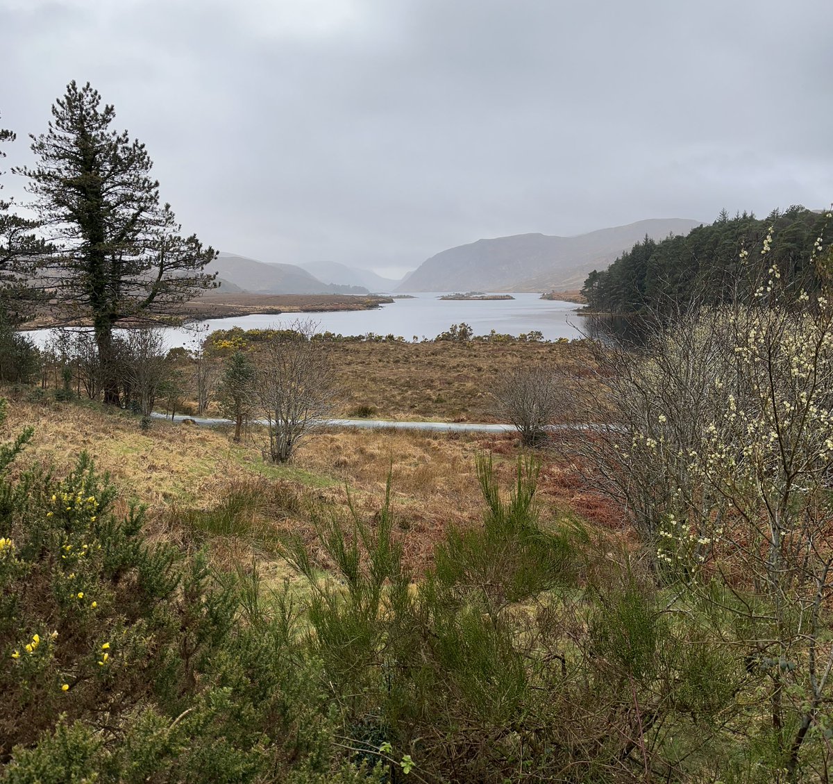 NCLPhysGeog's tweet photo. Weather not so good on day 4, but still met with majestic landscapes that peaked through between showers #ireland22 #donegal #errigal #glenveagh https://t.co/lnhjMvJeGQ