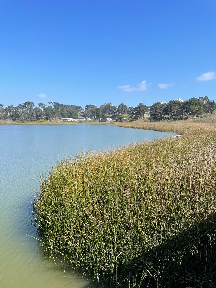 Lloyd Nebres tweet media