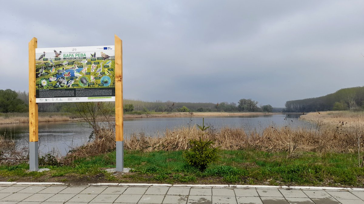 albicilla66's tweet photo. #BaraReva Pond, #birding #Belgrade 🇷🇸, my first Barn Swallow and Backcap of the season, and 20 more swallows, some big gull..? No, an Osprey. The Eurasian Penduline Tit sings. Plus a White-tailed Eagle and dark clouds before the downpour that catches me on Pancevo Bridge. https://t.co/agTAtEtgP5