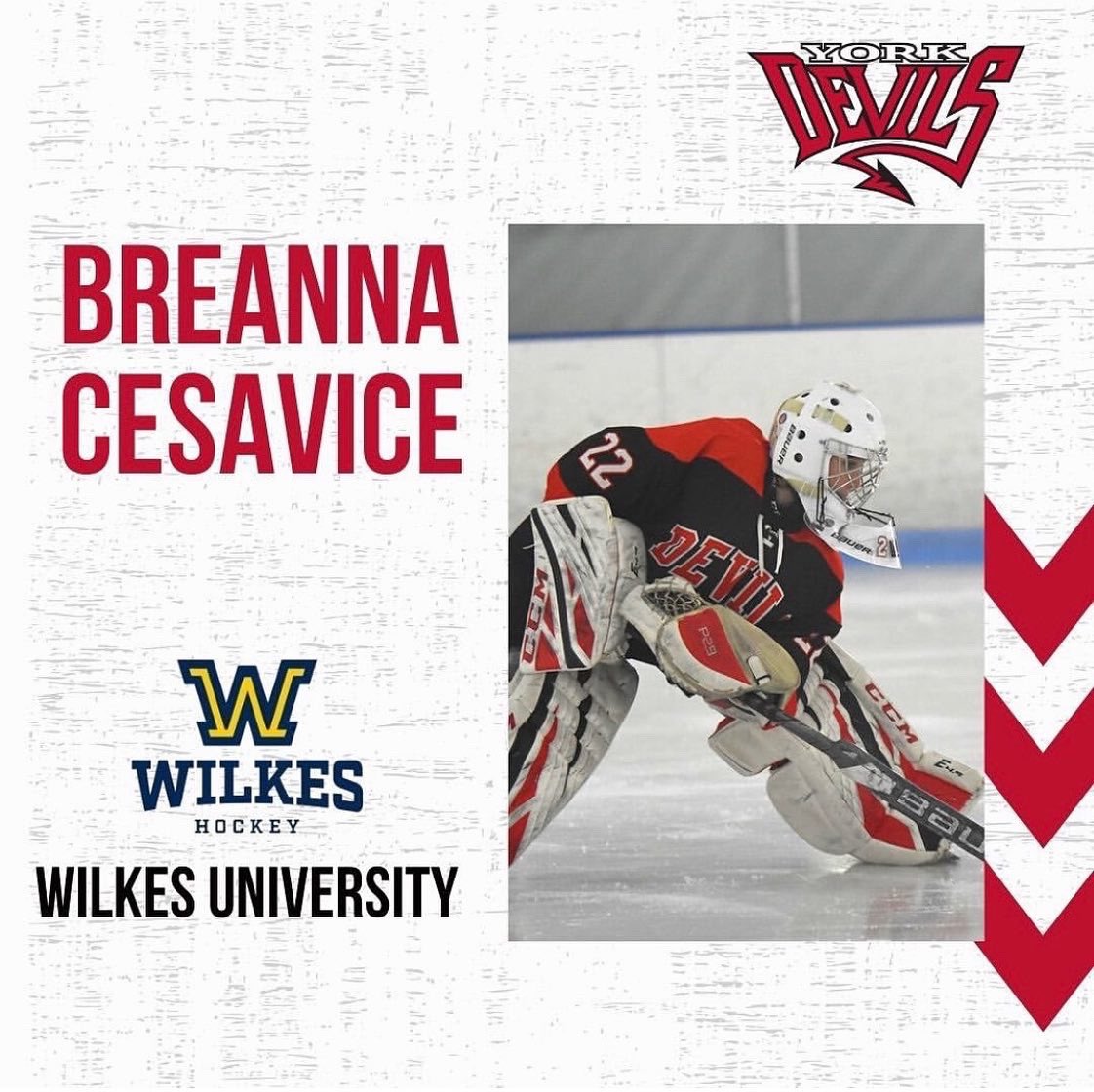 YorkIceArena's tweet photo. Congratulations to the Girls York Devils on this season’s commitments!! 😈
Congratulations Breanna, Lilly and Leah! 🎉
Repost from @nghlhockey
——————————
#nghlhockey #hockeycommitment #girlshockey #YorkIceArena https://t.co/0wA1ISro6D