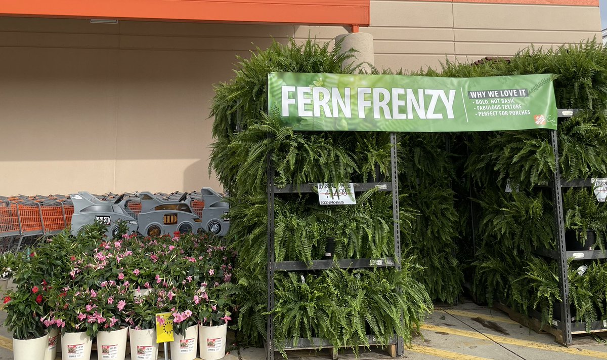 Linda Burkins (@ppslinda) on Twitter photo HD3625 Asheville #RIO #Costa #Ferns @PPSinHD <a href="/pps_s_atlantic/">AC</a> <a href="/PPScatwilson/">Catherine</a> <a href="/Stephen_E_Camp/">Stephen Camp</a> <a href="/spoonholtz/">Teresa Spoonholtz</a> <a href="/BobbyBoaenTHD/">Bobby Boaen</a> HD3625 Asheville #RIO #Costa #Ferns @PPSinHD <a href="/pps_s_atlantic/">AC</a> <a href="/PPScatwilson/">Catherine</a> <a href="/Stephen_E_Camp/">Stephen Camp</a> <a href="/spoonholtz/">Teresa Spoonholtz</a> <a href="/BobbyBoaenTHD/">Bobby Boaen</a>