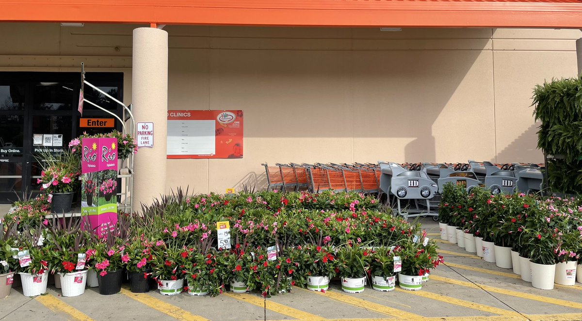 Linda Burkins tweet media