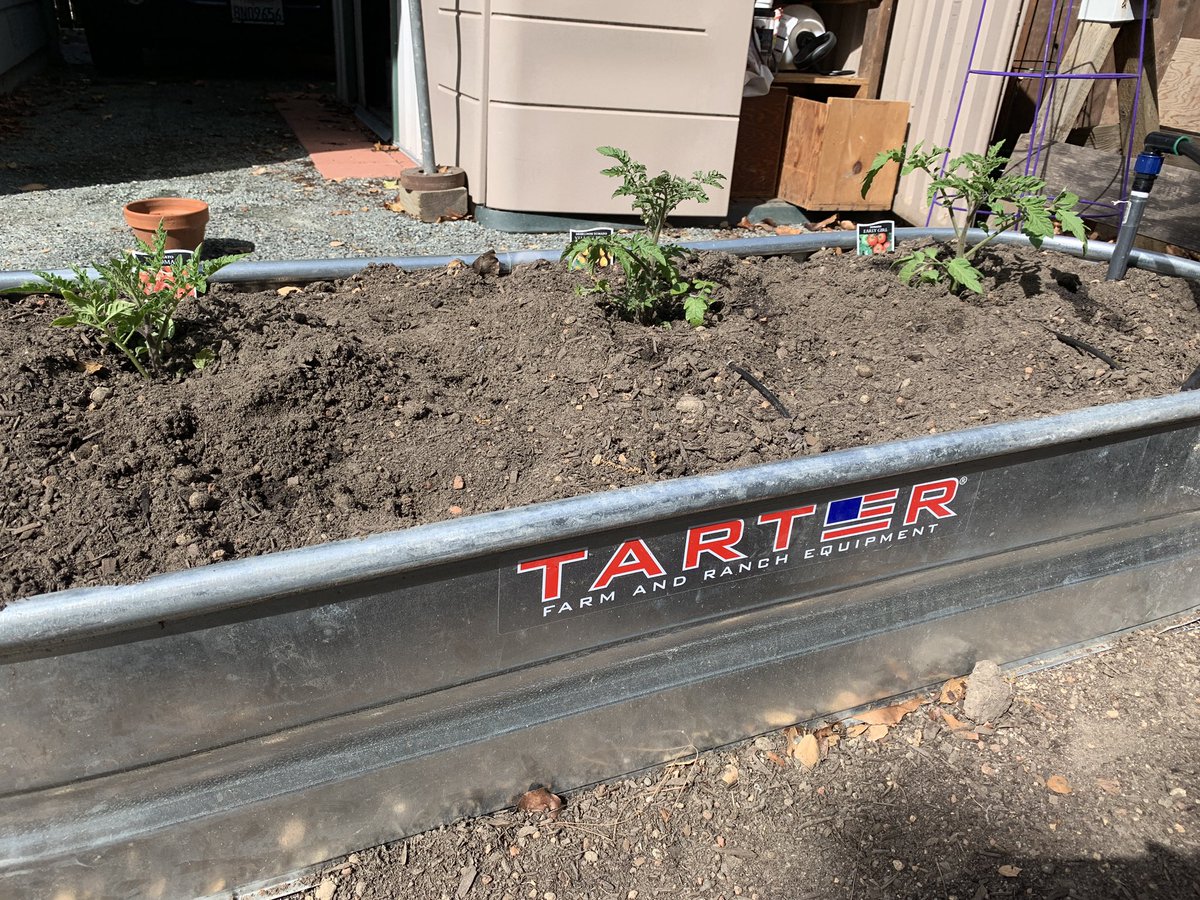 Mary Beth Dittrich tweet media