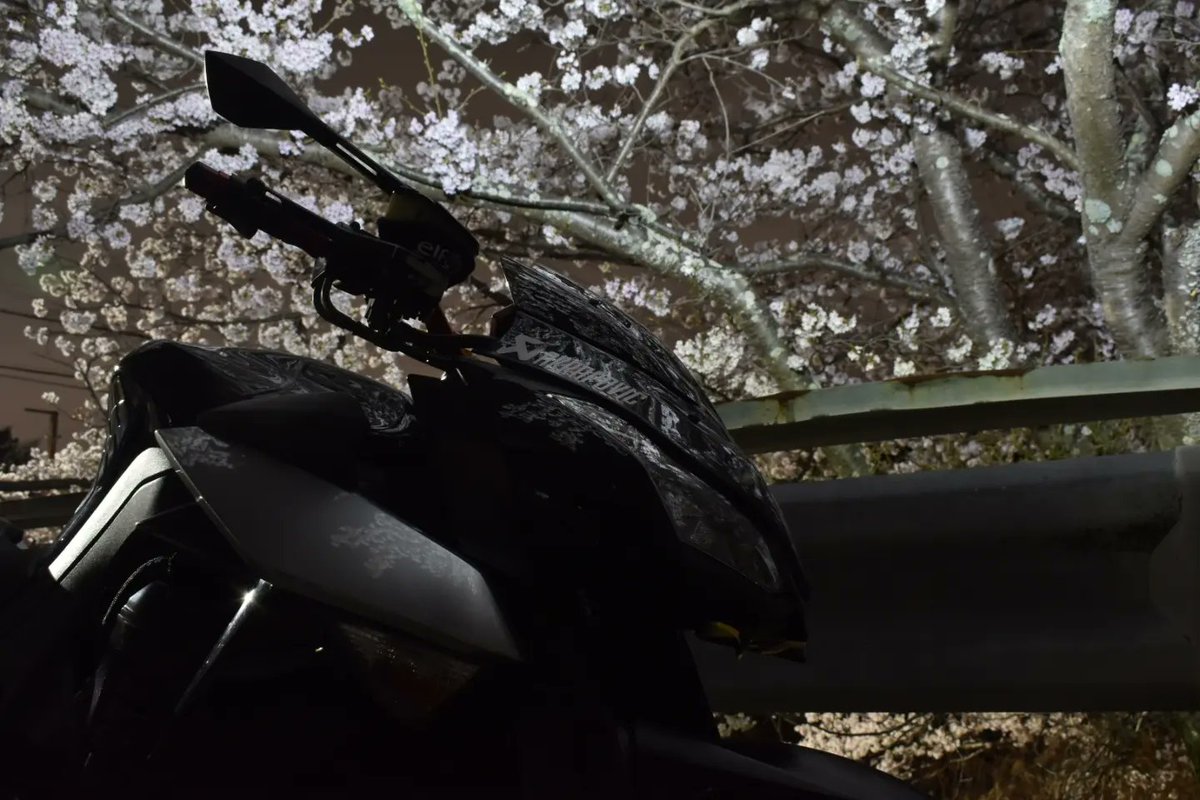 aamh0474's tweet photo. 夜桜とバイクを撮って来ました😁

やっぱり夜の撮影は難しい😅💦
たくさん撮った中のまだマシそうなのを載せてみました😁

一応ナンバープレートを消すこと以外加工無しです🎶

#バイク好きな人と繋がりたい  #桜 #夜桜 #花見 #一眼レフ #カワサキ #カワサキバイク #kawasaki #z1000 #nikon #d5600 https://t.co/0YVB6xG1m5