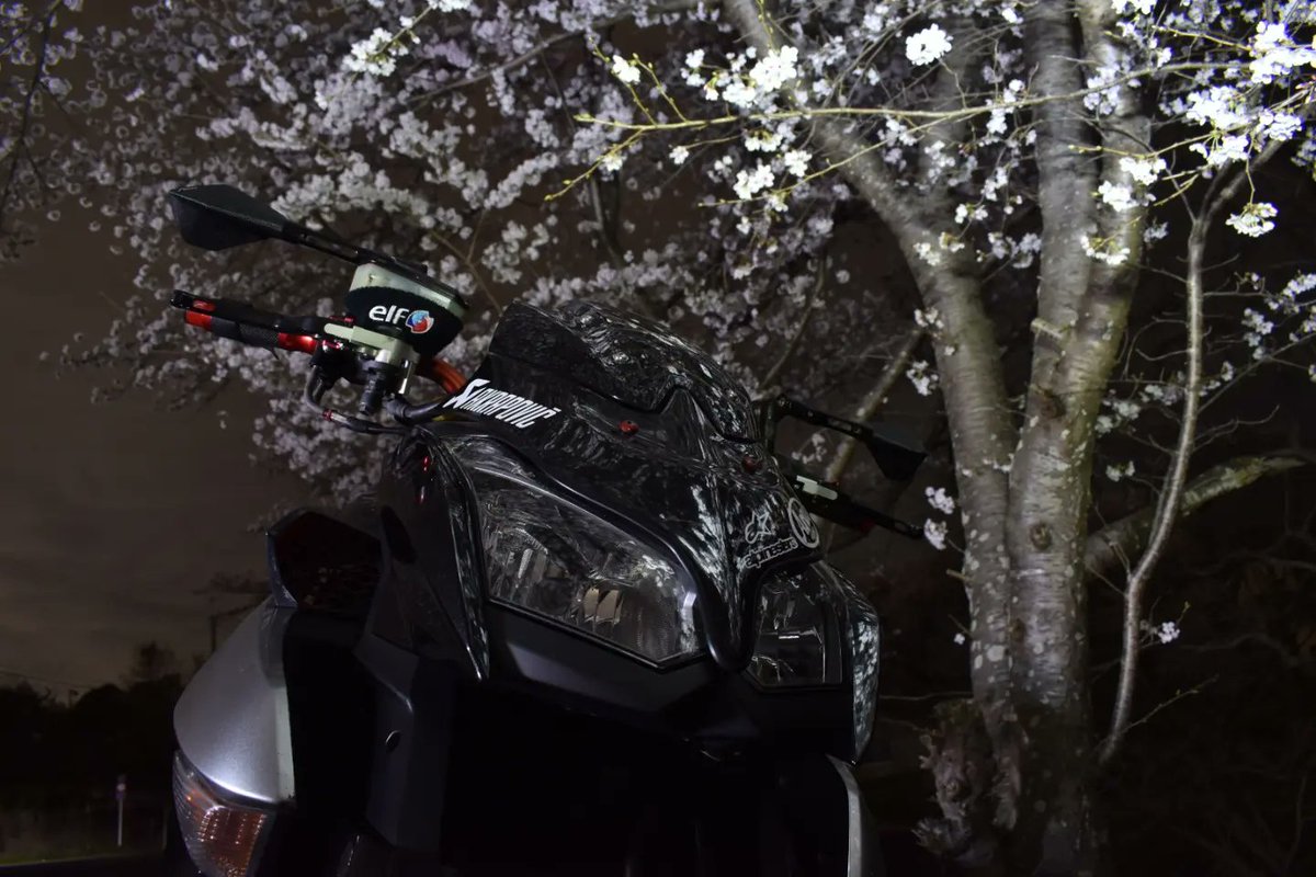 aamh0474's tweet photo. 夜桜とバイクを撮って来ました😁

やっぱり夜の撮影は難しい😅💦
たくさん撮った中のまだマシそうなのを載せてみました😁

一応ナンバープレートを消すこと以外加工無しです🎶

#バイク好きな人と繋がりたい  #桜 #夜桜 #花見 #一眼レフ #カワサキ #カワサキバイク #kawasaki #z1000 #nikon #d5600 https://t.co/0YVB6xG1m5