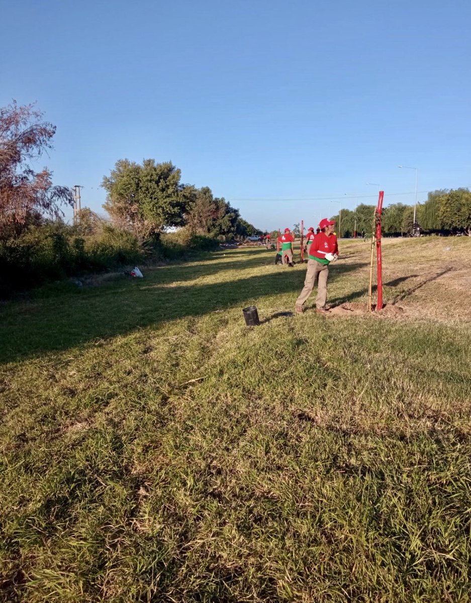 amolinalarioja's tweet photo. FORESTAR
Visión Ambiental de RQ
100MIL ÁRBOLES 
PROGRAMA FEDERAL
Pxma…FAMATINA!!! https://t.co/kWM9CE9T9t