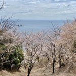 ツイートに含まれる画像