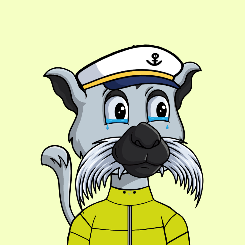 MINT IS LIVE! - Talented Tamarin tweet media