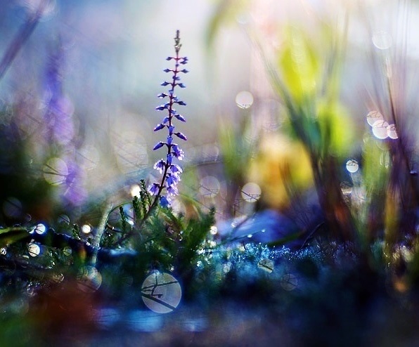 addyiceangel's tweet photo. "It only takes a split second to smile and forget,
but for someone who needed it... 
it can last a lifetime."
  ~ Steve Maraboli ~ https://t.co/PPSnf60sTJ