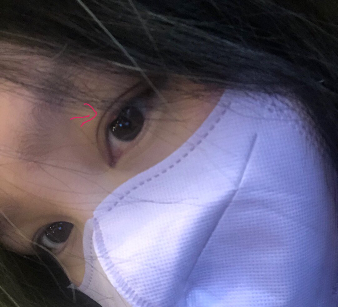 하 시바 다래낑  개객끼야