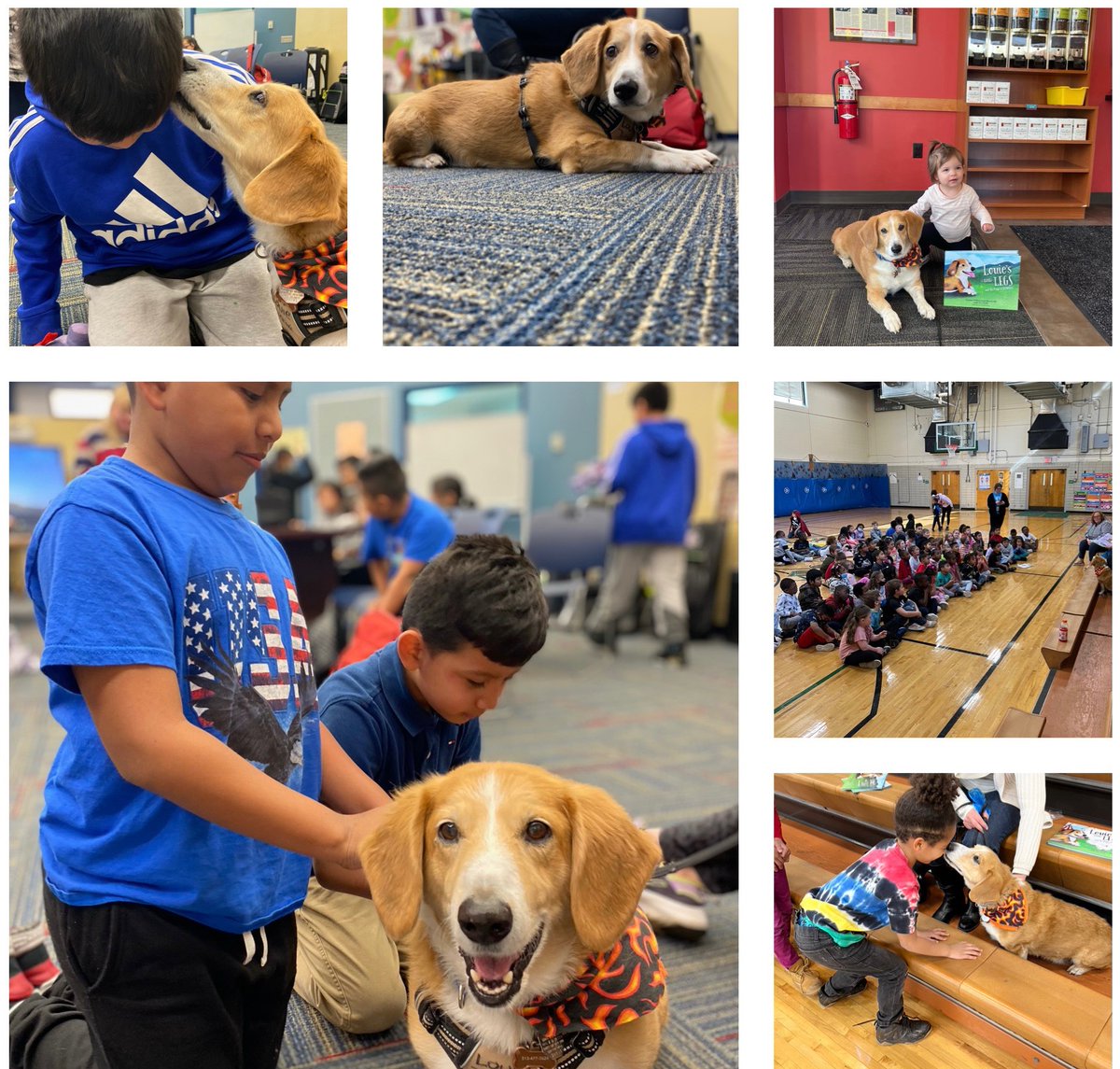 Letsunleashlove's tweet image. It's been a while, but we sure have been busy! We'll keep you updated from now on, but take a look at these pictures of some Louie Love. Invite us to your school for a book reading!