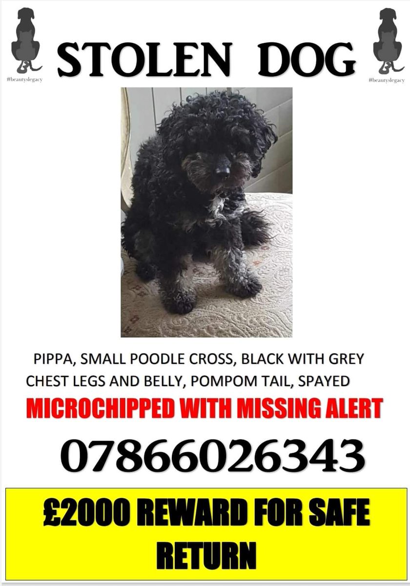 beautys_legacy's tweet photo. Today is World autism awareness day
Please, if you do nothing else today, share this post for these two autistic young men, for Luke to bring Pippa home π and share for Ernie to bring Bonnie home π
#WorldAutismAwarenessDay #Findpippa #findbonnie #stolendogs https://t.co/jUTear2AHE