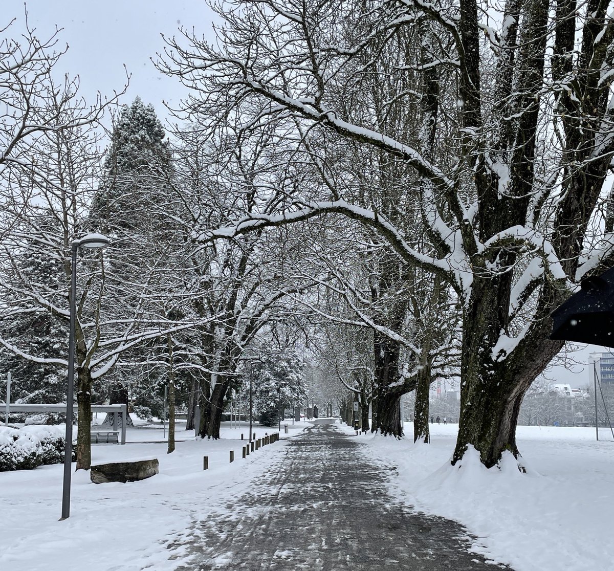 mapifela's tweet photo. @emtrifer Por aquí si ha cuajado. Y sigue nevando. https://t.co/eeZ9BxxKzu