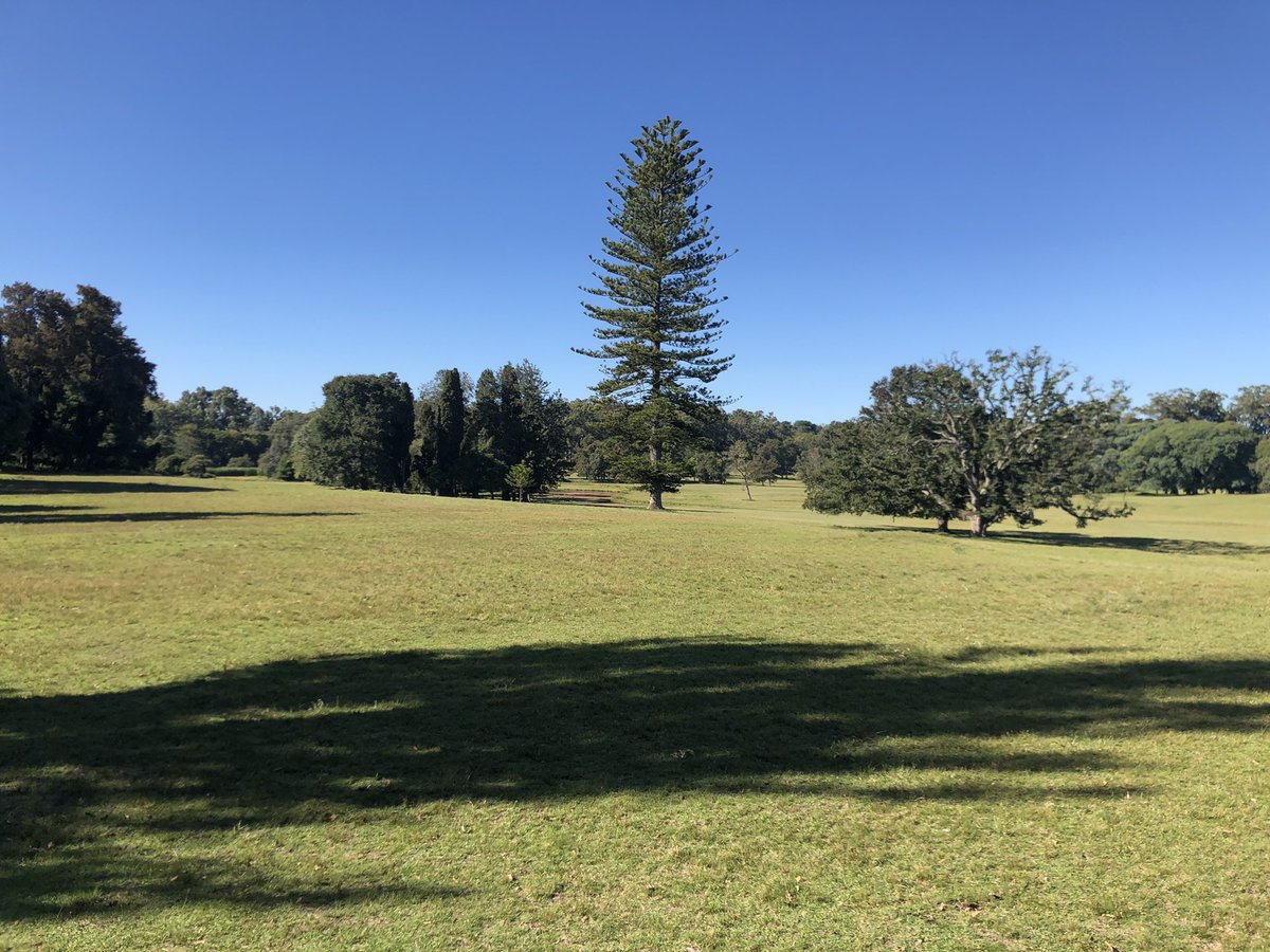 CarinaSpera's tweet photo. De visita por Anchorena, maravillada con el lugar pero decepcionada de saber que había una cancha de #golf de 9 hoyos que quedó abandonada. @LuisLacallePou sería tan bueno para este hermoso deporte que la reflotaras… 🙏 https://t.co/FkhgYSjcXv