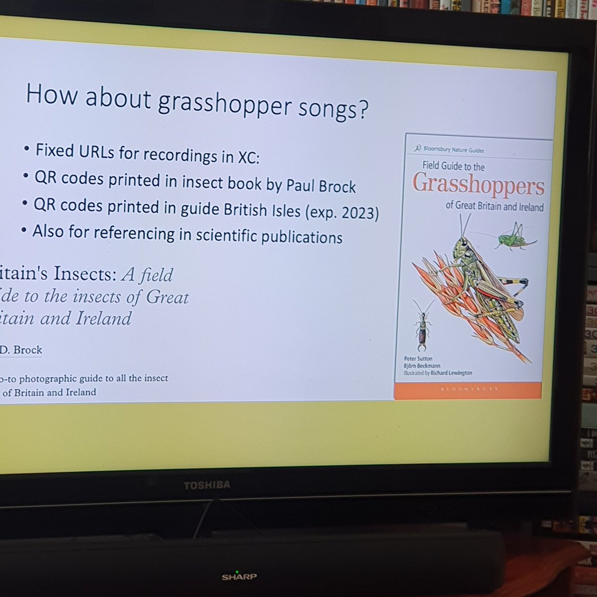 Cool to see a sneak peak of the call feature in the upcoming Grasshopper guide - QR codes will link direct to species calls on Xeno-canto. Exciting to hear about developments in call recognition software as well 🦗🦗🦗 #TeamOrthoptera