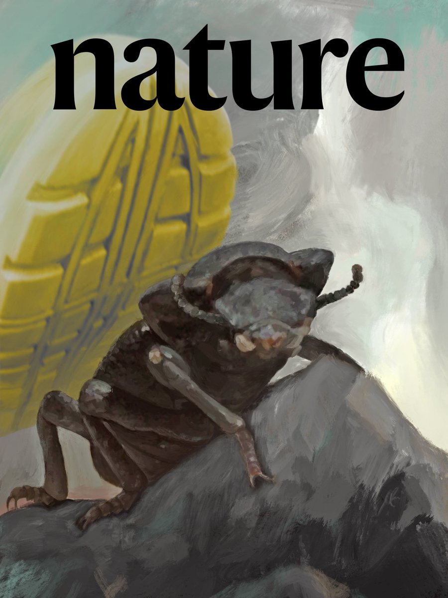 PhD Seus tweet media