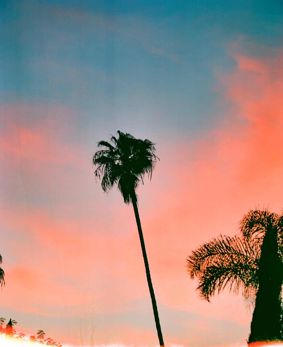 mariks418's tweet photo. LA packs 🎞 https://t.co/czP00hPrGE