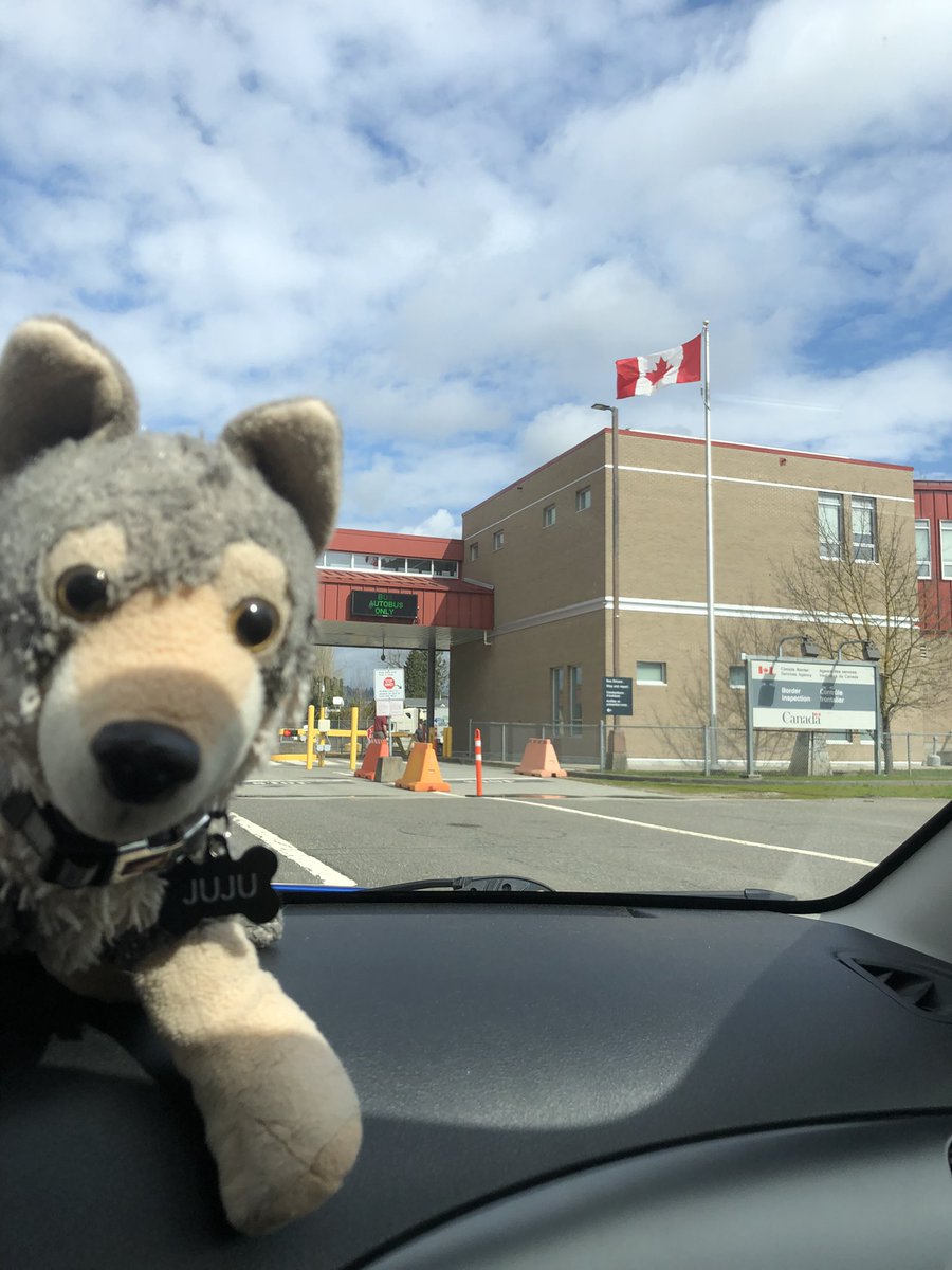 WhereIsJujuNow's tweet photo. Crossing to British Columbia, do wolves need passports? https://t.co/OfyilhXza3